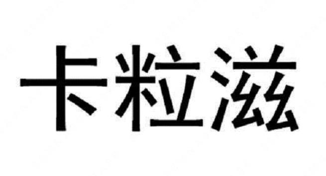 青田县玛克洛进出口贸易有限公司“卡粒滋”商标注册案例分析
