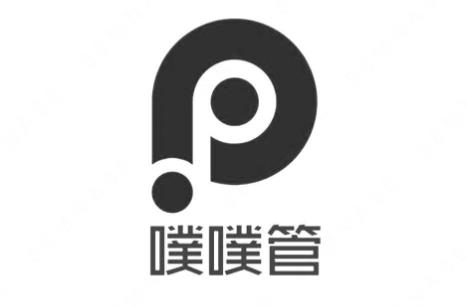 “噗噗管及图”商标注册驳回复审案例分析